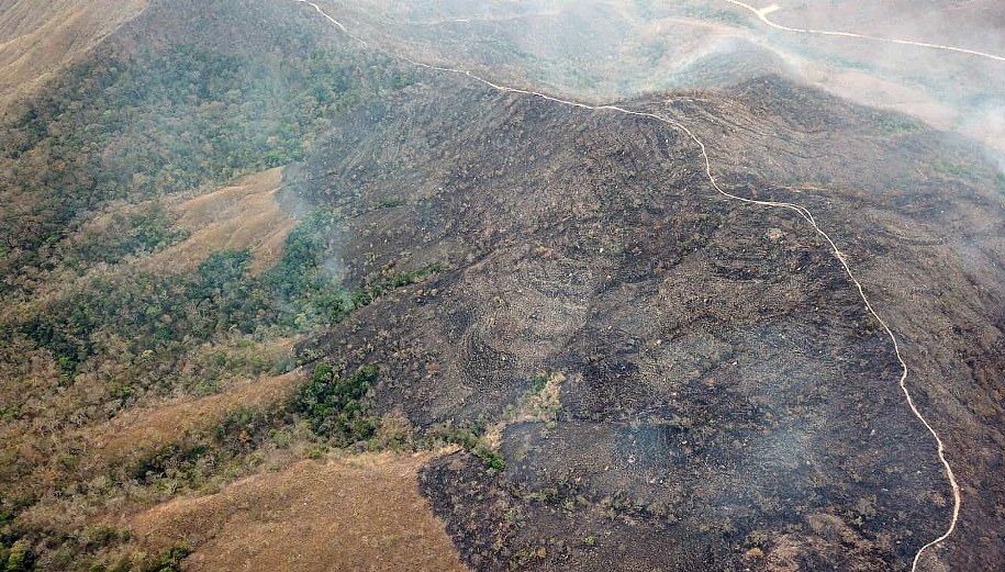 Spalony las w Amazonii /MATO GROSSO  /PAP/EPA