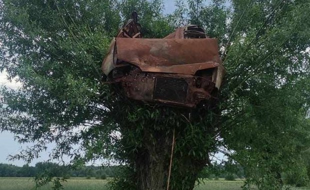Spalony wrak auta zawisł na wierzbie. Jak się tam znalazł?