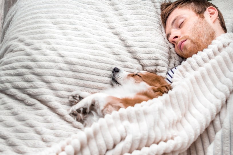 Spanie z psem. Jakie są korzyści z wpuszczania pupila do łóżka?
