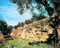 Sparta, mur z obwałowań starożytnego miasta greckiego /Encyklopedia Internautica
