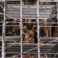 Rusztowania przysłoniły ołtarz Wita Stwosza 