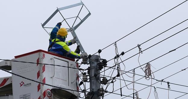 Specjaliści Tauronu prezentują, w Tarnowskich Górach montaż platformy pod bocianie gniazdo /PAP