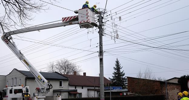 Specjaliści Tauronu prezentują, w Tarnowskich Górach montaż platformy pod bocianie gniazdo /PAP