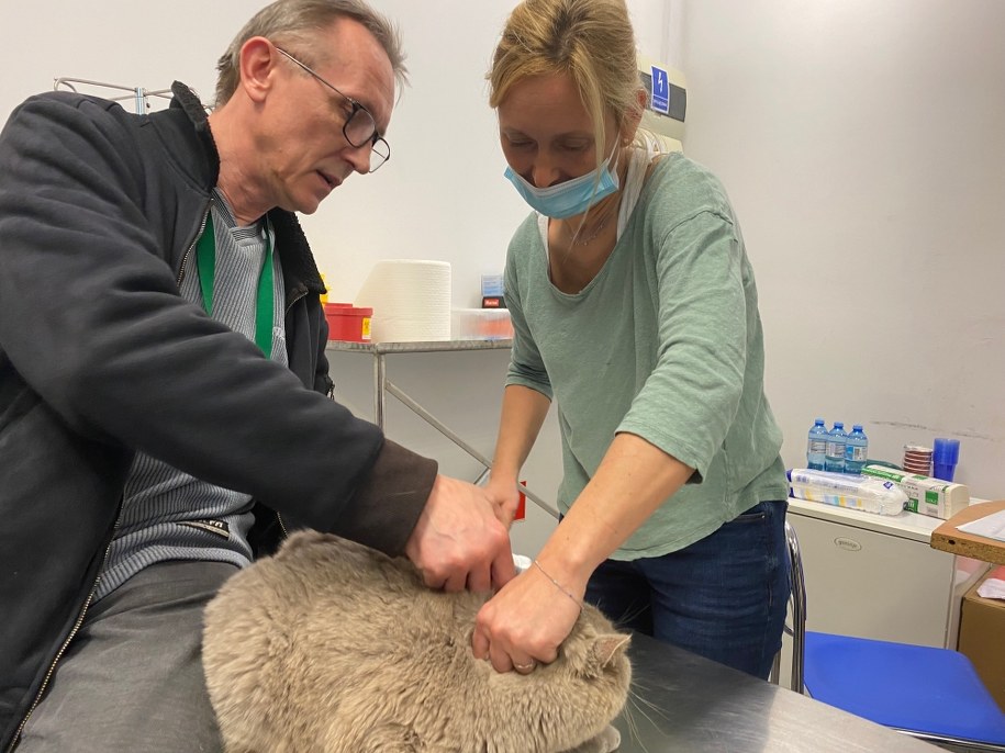 Specjaliści z Polski pomagają zwierzakom z Ukrainy /Sylwia Kwiatkowska-Łaźniak /RMF MAXX