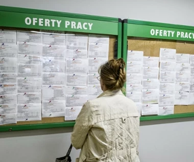 Specjalistów z tej branży poszukują teraz w Szwajcarii. Płacą 150 zł na godzinę