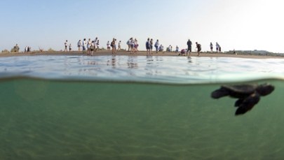 Specjalna ochrona dla tureckich plaż. Za złamanie zakazu można słono zapłacić