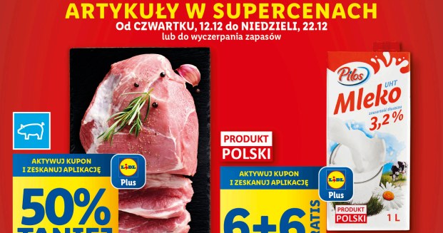 Specjalne promocje na otwarcie nowych sklepów Lidl! /Lidl /INTERIA.PL