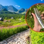 Specjalne woreczki dla turystów w Tatrach. TPN walczy z "dzikimi toaletami"