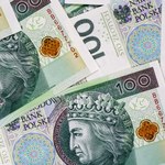 Specjalny dodatek na psa. Tylko dla nich po 280 zł miesięcznie