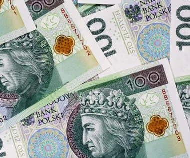Specjalny dodatek na psa. Tylko dla nich po 280 zł miesięcznie