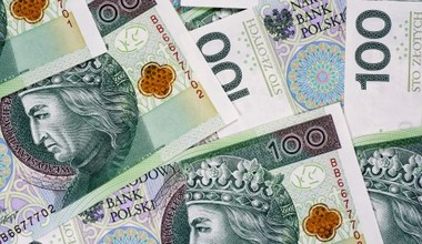 Specjalny dodatek na psa. Tylko dla nich po 280 zł miesięcznie