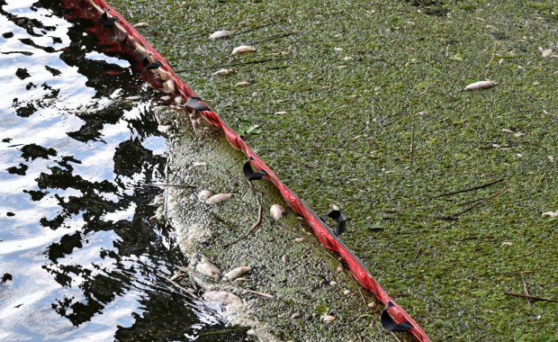 Specustawa opóźni wypłatę rekompensat