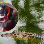 Boliwia Państwo w Ameryce Południowej.