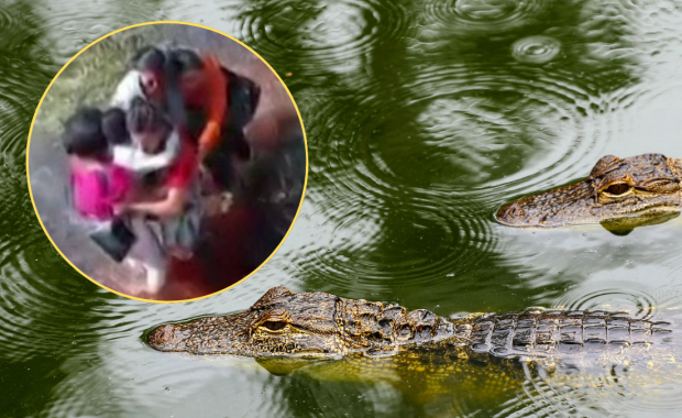 Spędzili 36 godzin pośród aligatorów. Rozbitkowie uratowani