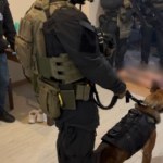 Spektakularna akcja służb w Łódzkiem. 27 osób zatrzymanych 