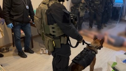 Spektakularna akcja służb w Łódzkiem. 27 osób zatrzymanych 