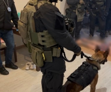 Spektakularna akcja służb w Łódzkiem. 27 osób zatrzymanych 