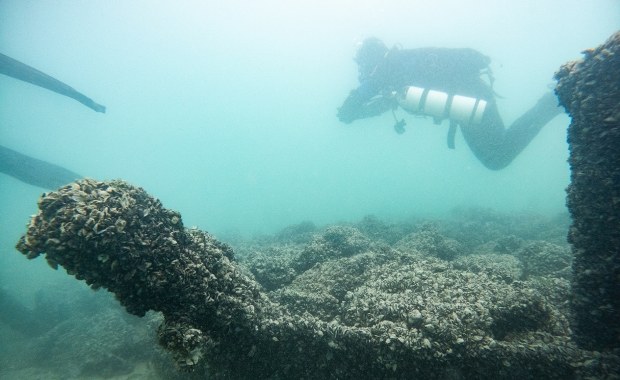 Spektakularne odkrycie pod wodą. Archeolodzy wydobyli skarb sprzed dwóch tysięcy lat