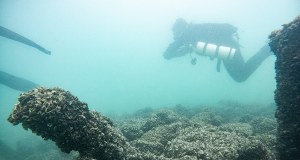 Spektakularne odkrycie pod wodą. Archeolodzy wydobyli skarb sprzed dwóch tysięcy lat