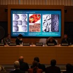 ​Spektakularne odkrycie w Alpach. Znaleziono tysiące śladów dinozaurów