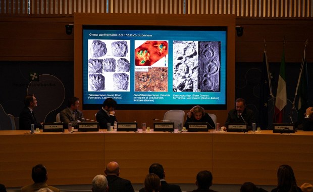 ​Spektakularne odkrycie w Alpach. Znaleziono tysiące śladów dinozaurów