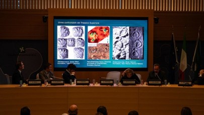 ​Spektakularne odkrycie w Alpach. Znaleziono tysiące śladów dinozaurów