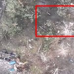 Spektakularny atak na Kadyrowców w Ukrainie. "Stos ciał TikTokerów"