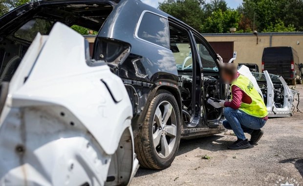 Spektakularny cios w przestępczość samochodową! Zobacz, co znaleźli policjanci