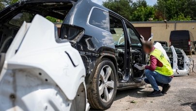 Spektakularny cios w przestępczość samochodową! Zobacz, co znaleźli policjanci