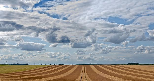 Spekulacja ziemią rolną przez cudzoziemców będzie utrudniona /&copy;123RF/PICSEL