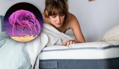 Śpią z nami w łóżkach, ale ich nie widać. Pomoże tylko jeden sposób