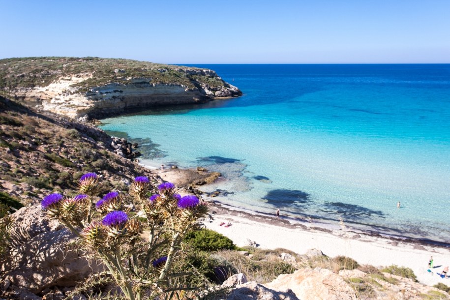 Spiaggia dei Conigli na Lampedusie uznana za najpiękniejszą plażę Włoch /Shutterstock