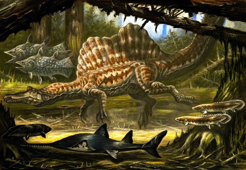 Spinozaur jako dinozaur wodny albo pływający /ABelov2014 /Wikimedia