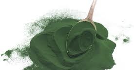 Spirulina /© Photogenica