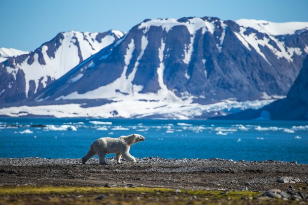 Spitsbergen na zdjęciu ilustracyjnym /Shutterstock