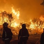 Spłonęło kilkanaście domów i przedsiębiorstw. Ludzie uciekają przed wielkim pożarem lasu