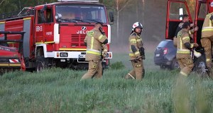 ​Spłonęło ponad 300 ha lasu. Najnowsze ustalenia ws. przyczyn pożaru na Mazowszu