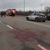 Spłoszone konie zablokowały krajową "22"