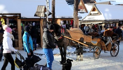 Spłoszony koń pędził przez Krupówki. Dziecko zostało poszkodowane
