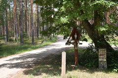 Spokojne wakacje pod namiotem lub na campingu? Cel: Pogranicze Wielkopolski i Pomorza Zachodniego