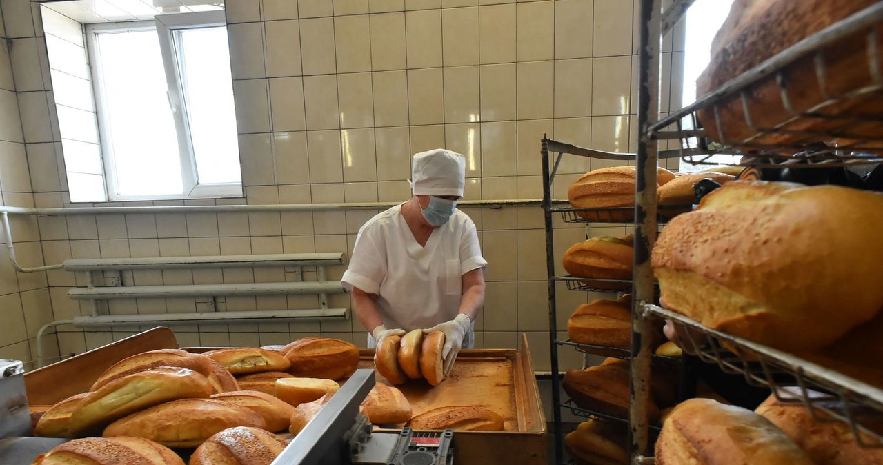 Spółdzielcy alarmują - za kilka tygodni chleb będzie kosztował 12-15 zł /Olga Maltseva /AFP