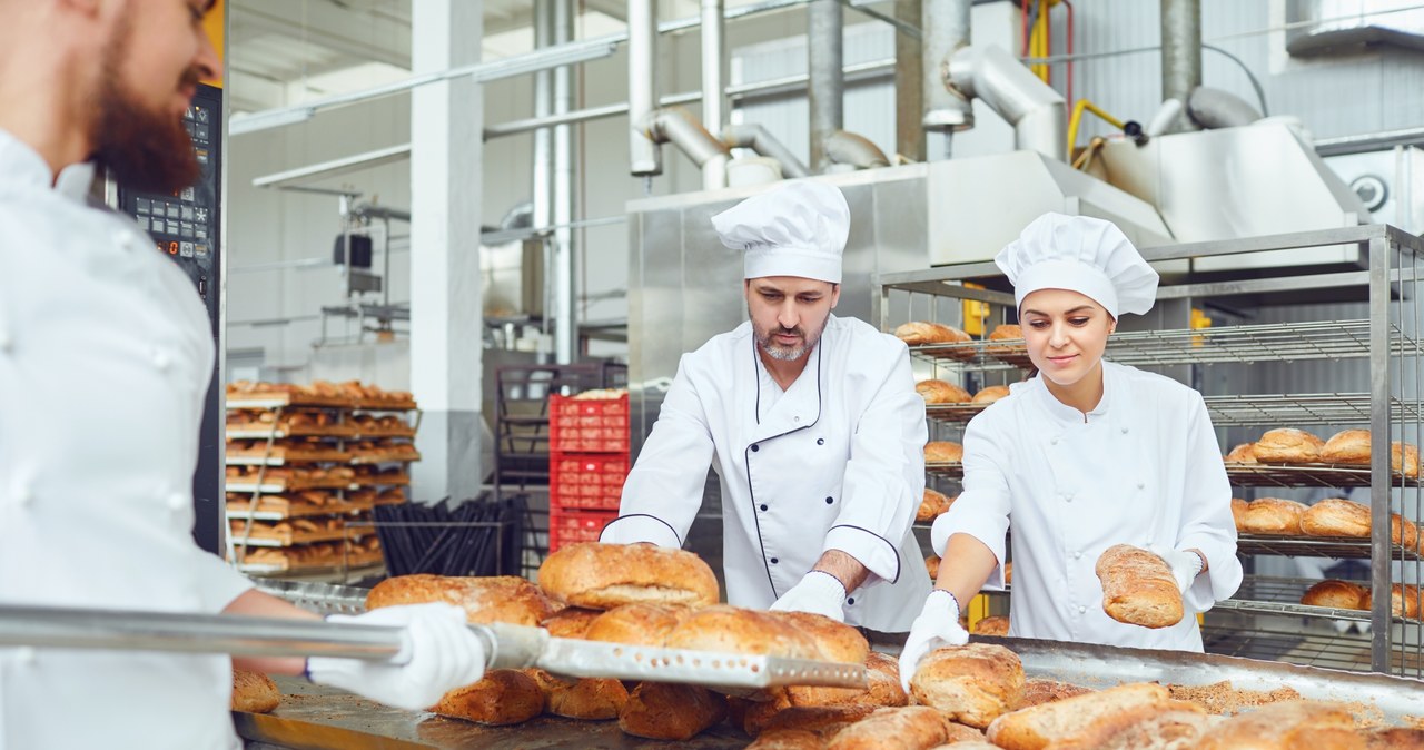 Spółdzielcy budują szeroką koalicję "Za chlebem". Chcą ratować piekarnie i chronić konsumentów /123RF/PICSEL