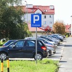 Spółdzielnia wydzierżawiła miejsca kierowcom. Kolejka stała od 3 w nocy
