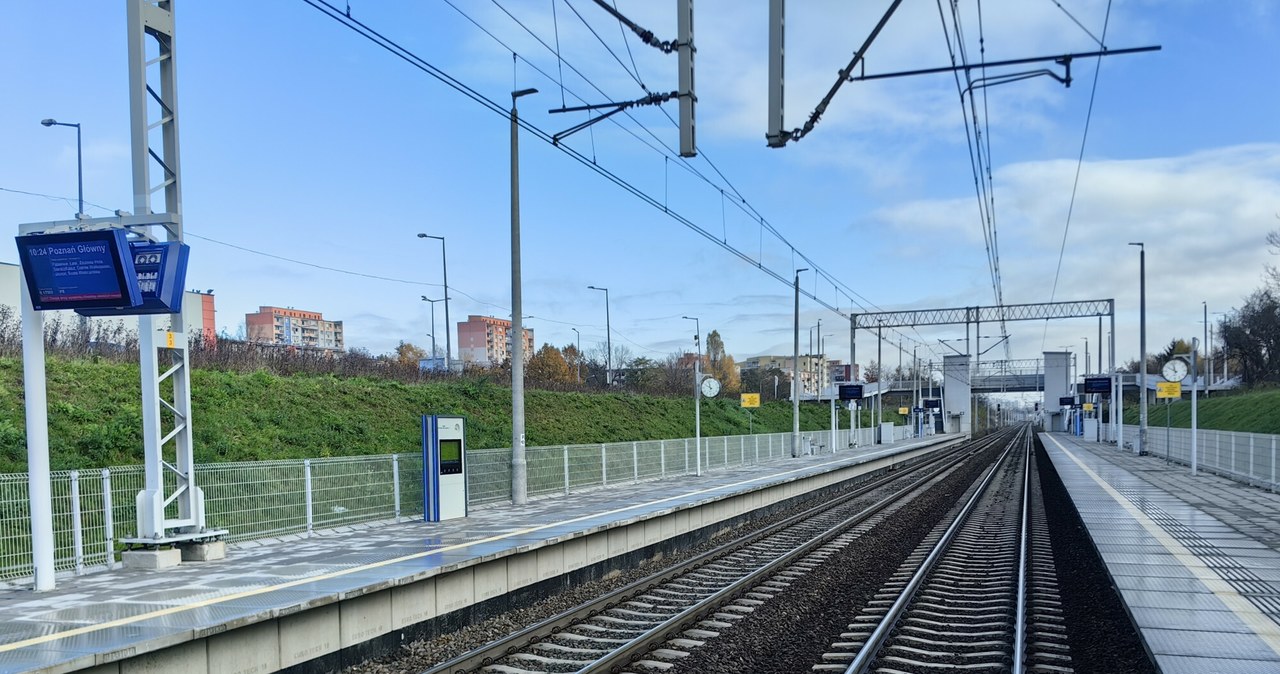 Spółka CPK planuje wybudować infrastrukturę, która umożliwi pociągom Kolei Dużych Prędkości wjazd także do mniejszych miast /ANDRZEJ ZBRANIECKI /Reporter