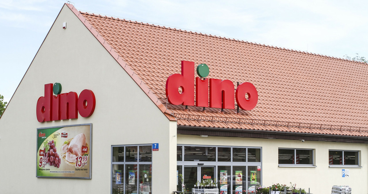 Spółka Dino przymierza się do wejścia do e-commerce. Sieć poszukuje specjalistów od sprzedaży online. /Artur Szczepanski/REPORTER /Reporter
