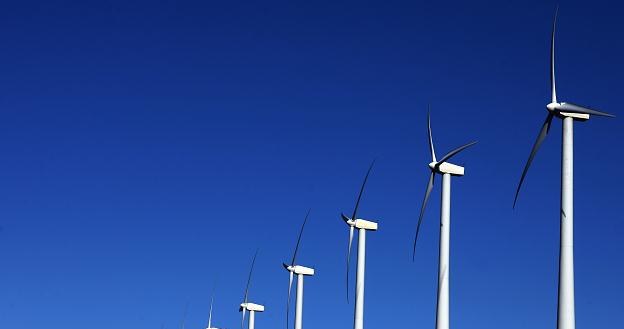 Spółka PGE Energia Odnawialna na budowie farmy wiatrowej straciła co najmniej 30 mln zł /AFP