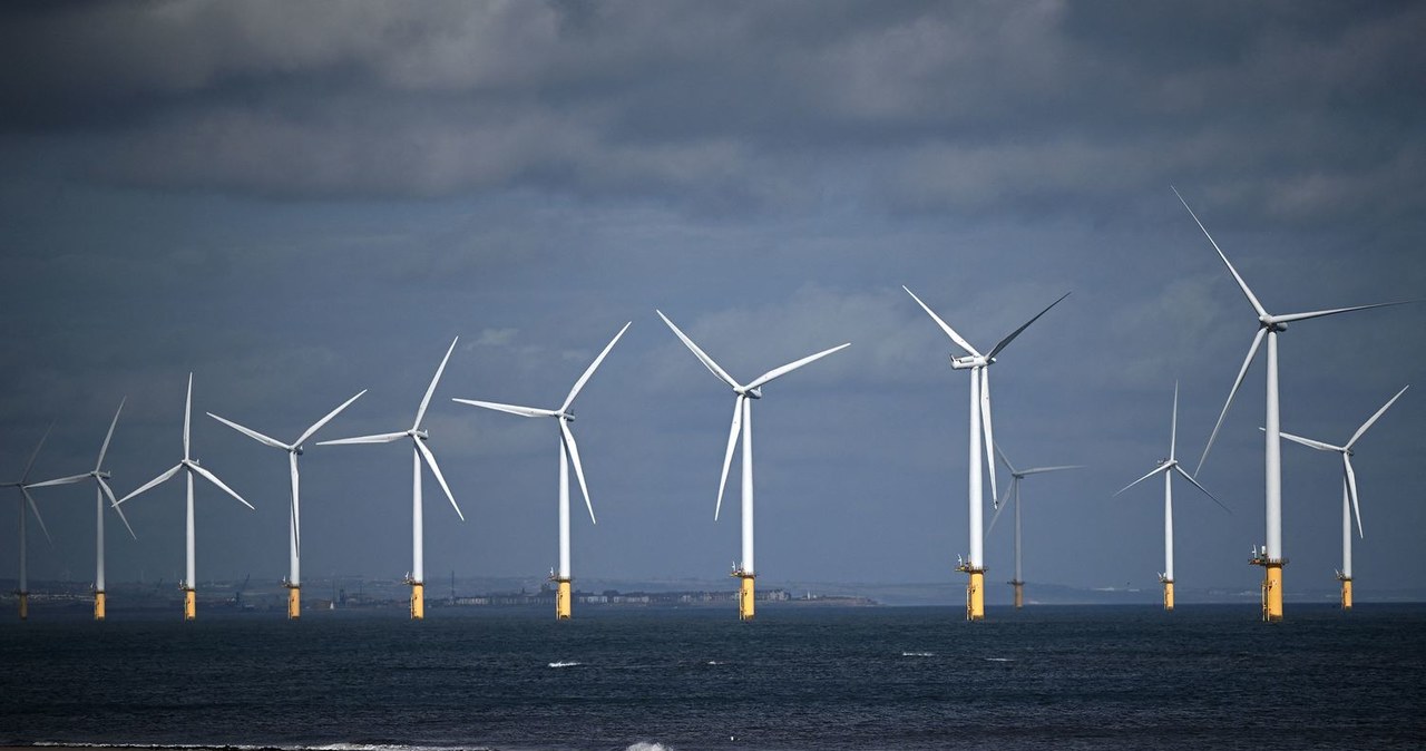 Spółka PŻB Offshore będzie się zajmowała projektami związanymi z obsługą farm wiatrowych /AFP