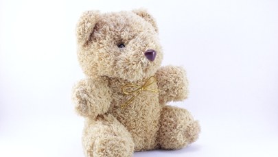 ​Spór o autorstwo "Białego misia". Sprawa wraca na wokandę