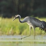 park narodowy Spór o nowy park narodowy w Polsce. Tak rząd chce obejść weto prezydenta