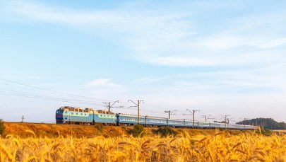 Spór o ukraińskie zboże. Bruksela gorączkowo szuka rozwiązania 